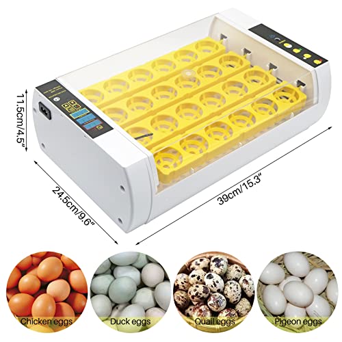 MUYIRTED Inkubator Hühner 24 Eier Brutmaschine Vollautomatisch Brutautomat Wachteln Enteneier Geflügel Egg Incubator… – Bild 3