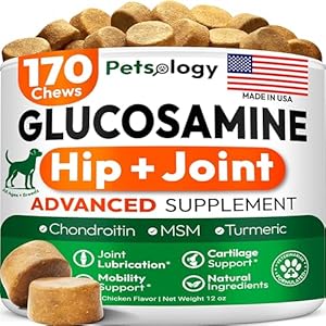 Glucosamine for Dogs – Hip and Joint Supplement for Dogs – 170 Mobility Chews – Glucosamine Chondroitin – MSM – Turmeric – Joint Pain Relief – Advanced Support for Dog Health – Made in USA