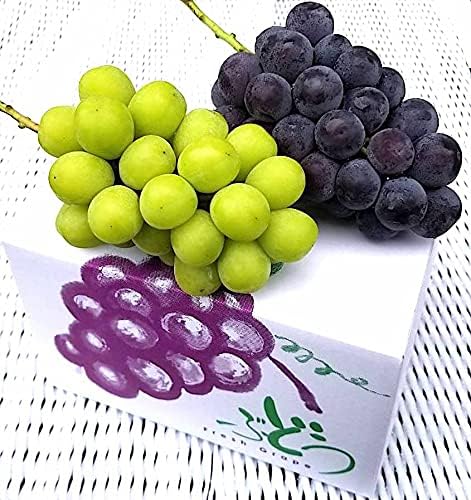 Amazon 特秀品 クール 最高級 特大 シャインマスカット ピオーネ 食べ比べ 約1 6kg 1 5kg 贈答用 ぶどう化粧箱 山梨 岡山 長野産等 大玉 糖度 19度 22度 特秀品 ギフト Quality Leaders ぶどう 通販 Amazon 特秀品 クール 最高級 特大 シャインマスカット ピオーネ 食べ比べ 約1 6kg 1 5kg 贈答用 ぶどう化粧箱 山梨 岡山 長野産等 大玉 糖度 19度 22度 特秀品 ギフト Quality Leaders ぶどう 通販