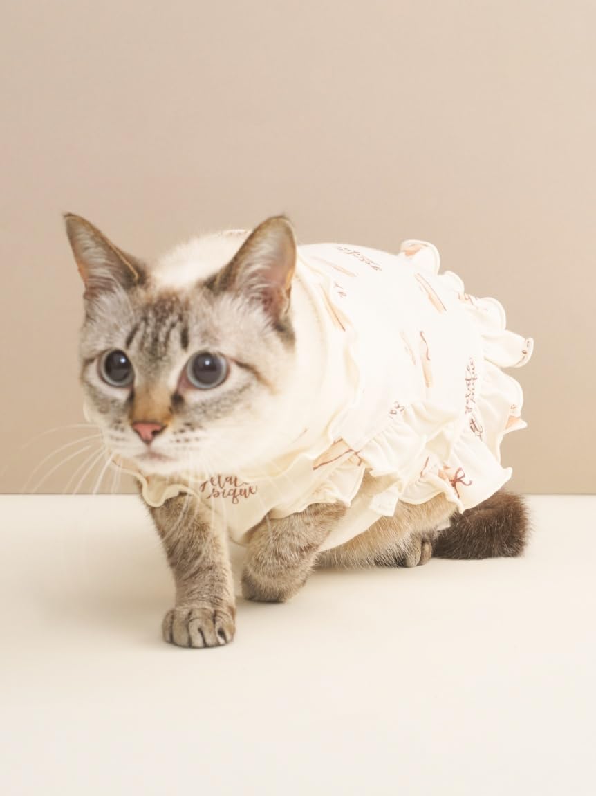 【タグ付き♡】ジェラートピケ　コーギー ワンポイント　セットアップ BABY】スタイ付きステップアップマグセットR(スタイ)｜ルーム