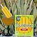 Outshine, Mango Frozen Fruit Bars, 6 count (Pack of 1)