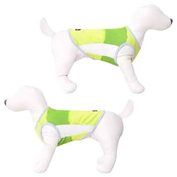 Amazon | サマークーリングタンクトップ(2021年モデル)(グリーン