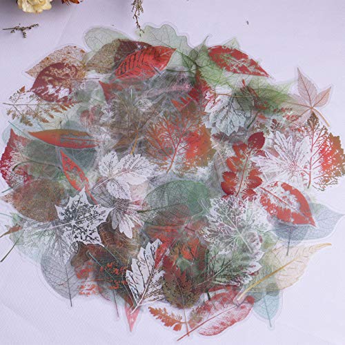 Lychii Pegatinas para álbumes de recortes, 240 pegatinas de PVC para decoración con patrón de venas de hojas, pegatinas adhesivas de diseño natural para álbumes de recortes de manualidades Cover
