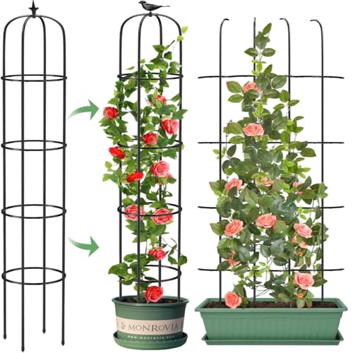 LATERN 1 Stück Garten Obelisk Spalier für Kletterpflanzen, 180CM Hoch Rostfrei Beschichtete Metall Pflanzenstütze Rankgitter Rahmen für Töpfe Pflanze Rose Tomate Gurke Blumen Traube Erbse