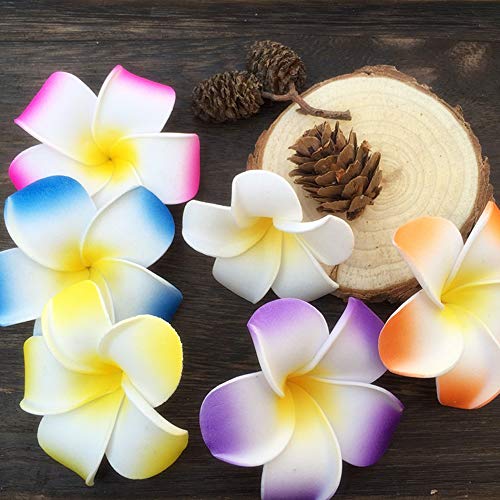 Flower Hair Clips Hawaiian Hawaii Hair Clip Set Plumeria Hibiscus Barrettes Women Girls Baby Foam Wedding Vacation Beach Party Decorations Cosplay Costume Handmade Hair Accessories Plumeria 16 Pack #TOP5