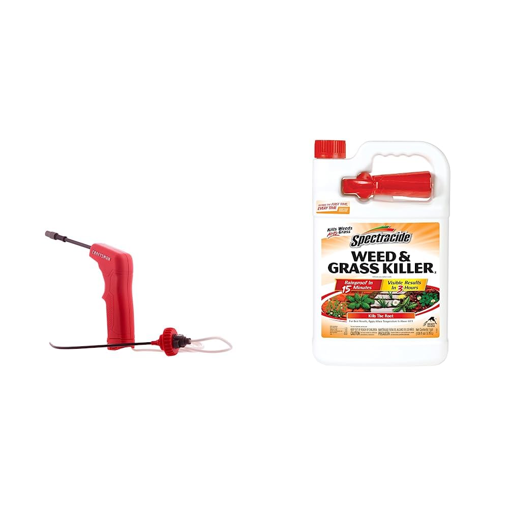 Amazon.com: CRAFTSMAN Battery Powered Sprayer Wand (CMXCAFG190640