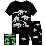 Dinosaur Pajamas For Boys Toddler Kids Glow in The Dark T-Rex 2 Pieces Short PJs Set 4t