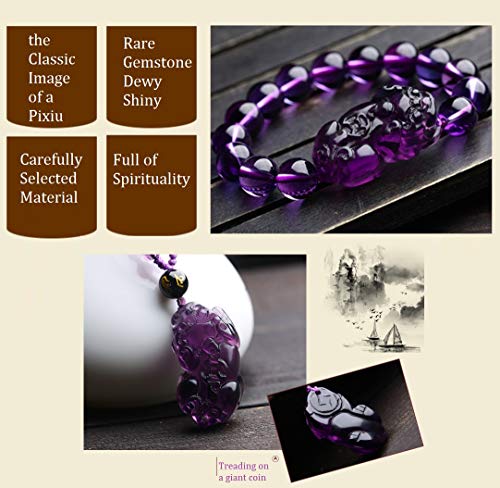 Bracelet Feng Shui en cristal d'améthyste 3A extensible pour la prospérité - 5