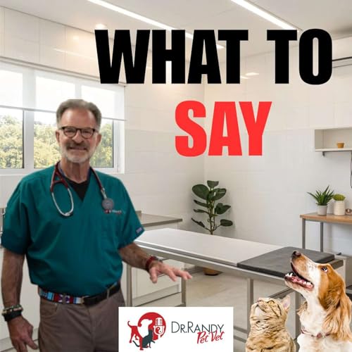 How To Talk to Your Vet About Holistic Treatments