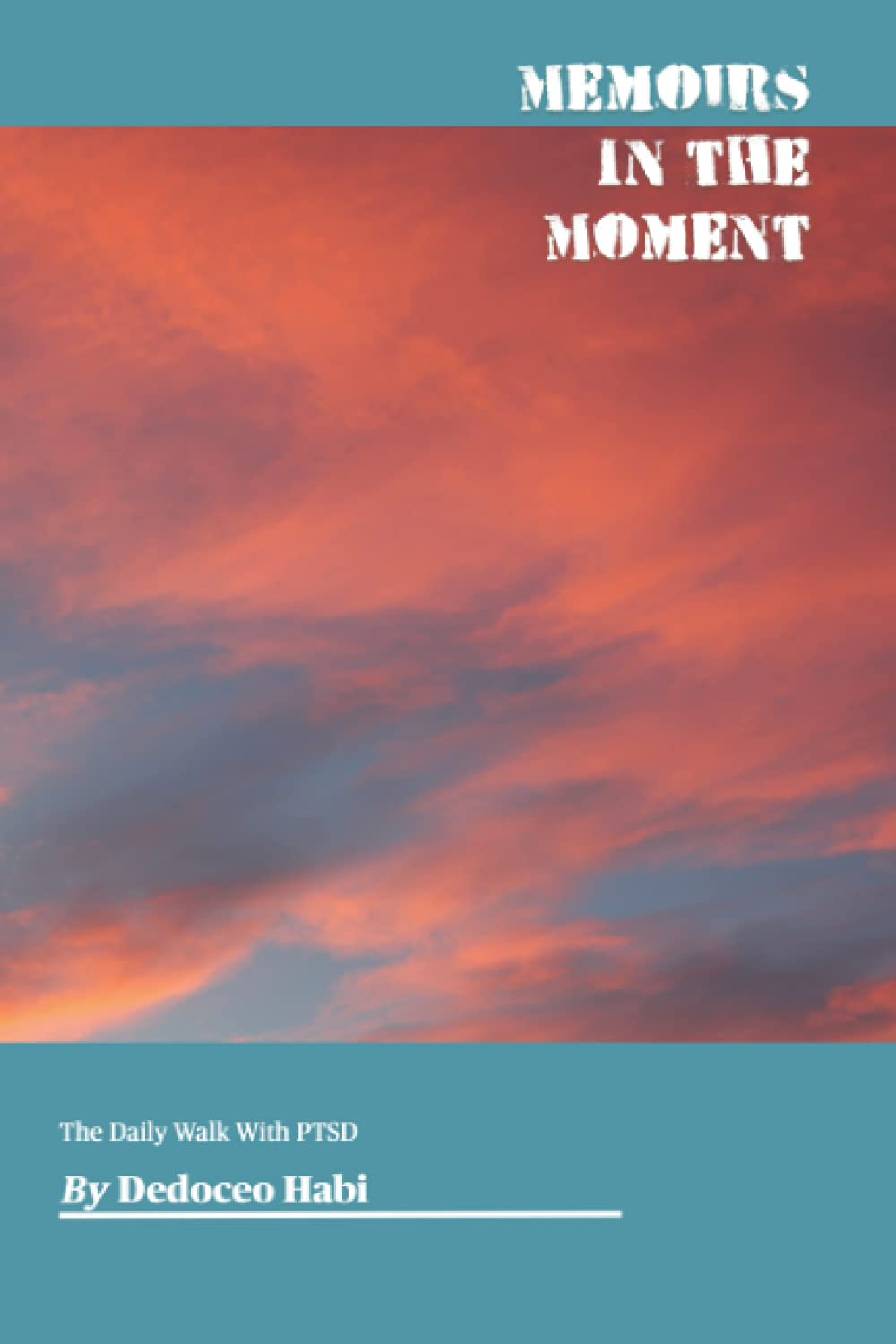 Memoirs In the Moment: The Daily Walk With PTSD