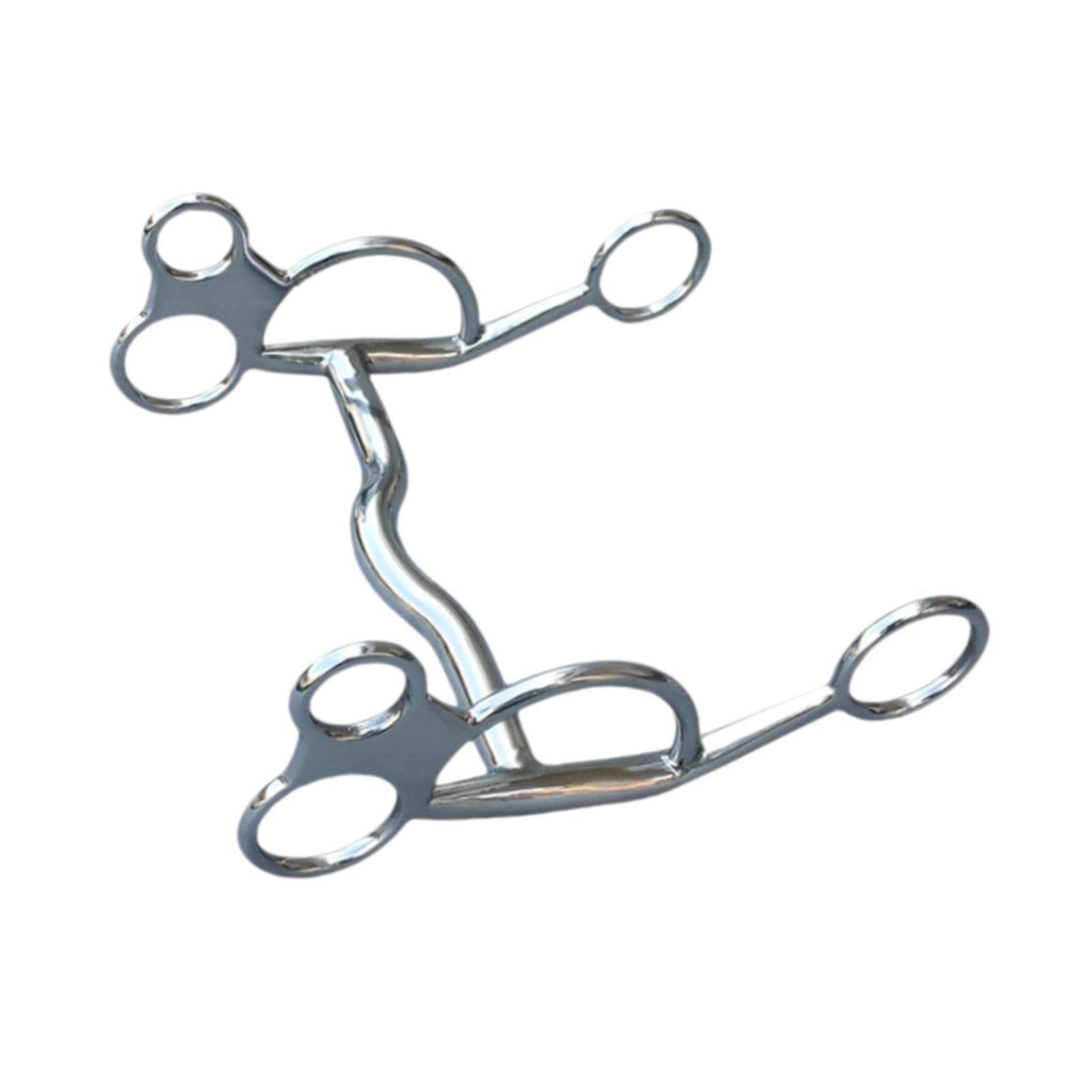 per cavallo in acciaio inossidabile, finitura splendida, di grandi dimensioni, comodo per l'addestramento e l'equitazione, piacevole per gli appassionati, filetto per