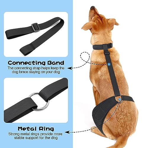 Image of Dog ACL Knee Brace for Pet Recovery, Adjustable Straps, Universal Fit, Supportive and Comfortable, for Small, Medium, Large Dogs (Large, Black Left)
