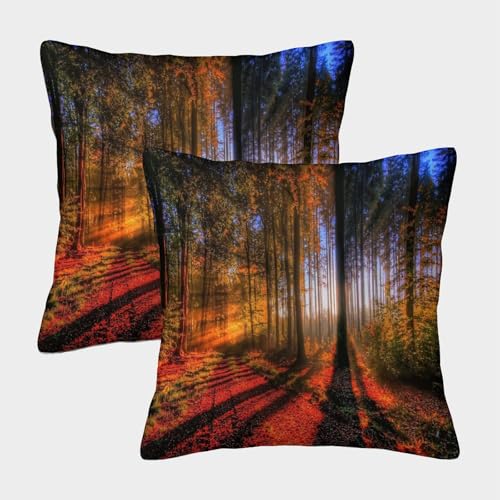 CTAMM Almohada 3D Sunlight,cojín Almohada 3D Autumn Forest Almohada Suave Al Tacto,sofá Silla Muebles para El Hogar 50x50cm 2 Paquetes