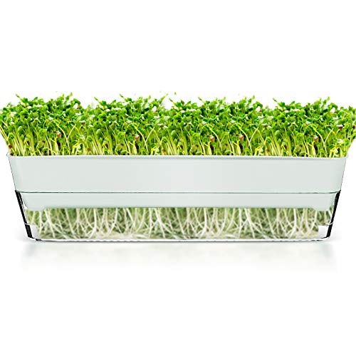 Jitnetiy Seed Sprouter Tray, Bean Growing Tray Big Capacity Seed Germination Tray for Garden Home Bean Sprouts (White)