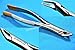 New Heavy Duty Premium German Dental Extracting Extraction Forceps No 150 Dental Instruments Extracting Forceps