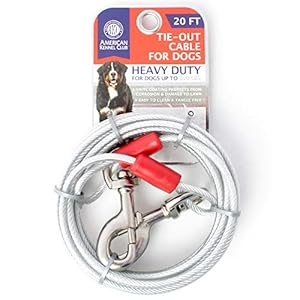 American Kennel Club AKC Heavy Duty Steel Tie-Out Cable for Dogs