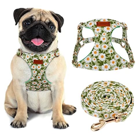 CHEDE No Pull Adjustable Dog Harness and Leash Set Cover