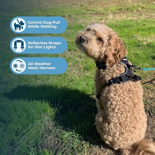 Image of Voyager Dog Harness Dual Leash Attachment No-Pull Control Adjustable Soft but Strong Pet Harness for Medium and Large Dogs with 3M Reflective Technology, Leash Set Black Nylon, XS (Chest: 13-16 inch)