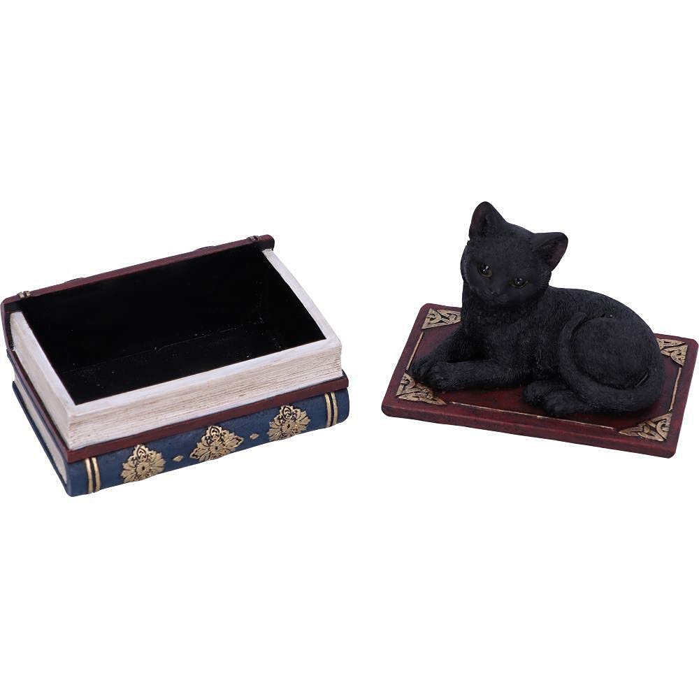 Nemesis Now Salems czarownice znane czarny kot i pudełko z księgą zaklęć, 11,7 cm
