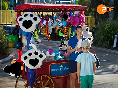 Meerjungfrauen bei der Arbeit