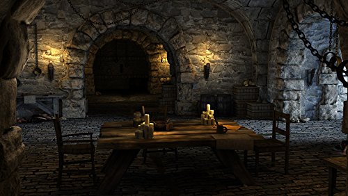 The Guild 3 Aristocratic Edition Pc - vue 6