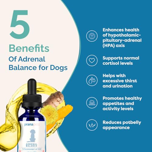Image of PranaPets Adrenal Balance for Dogs with Cushing's | Naturally Relieves Symptoms of Cushing's in Dogs | Herbal Formula for Dogs with Cushing's