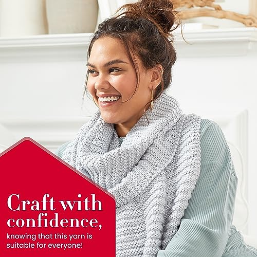 Hilo acrílico Premier Yarns Anti-Pilling gris Cloudy Day DN100-72 para tejer 7