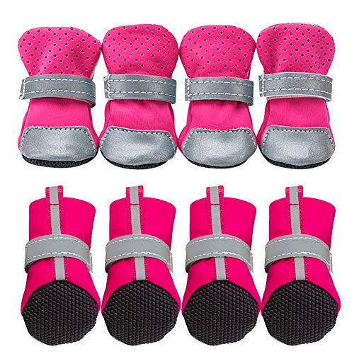 Llasm Scarpe Cane Scarpette per Cani Scarpe Cane