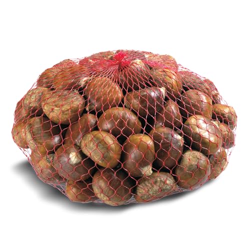 Castañas malla 500 gr