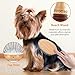 Groomage Dog Brush for Long Haired Dogs, 27mm Extra Long Pin Brush for Grooming, Shedding - Beech Wood Material, Non-Slip Rubber Handle, Round-Tipped Pins