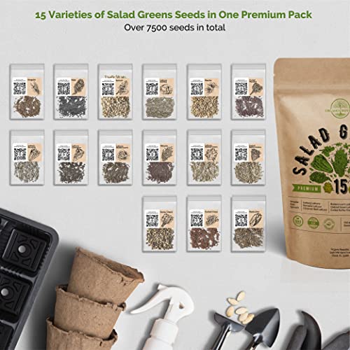 15 Lettuce & Salad Greens and 14 Rare Tomato & Tomatillo Seeds Variety Packs Bundle Non-GMO Heirloom Seeds for Planting Indoor and Outdoor Over 8300 Salad Greens & Tomato Seeds in One Value Bundle