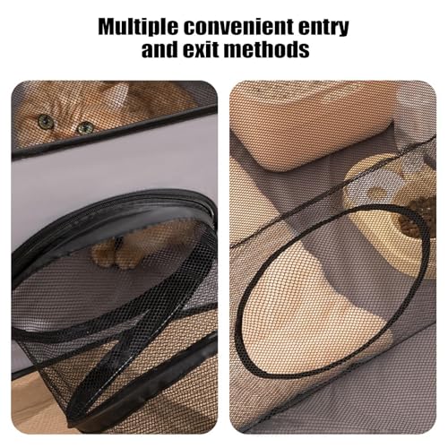 Parque para Gatinhos de Interior | Recinto Para Gatos De Interior De Encerramento Para Animais - Cas