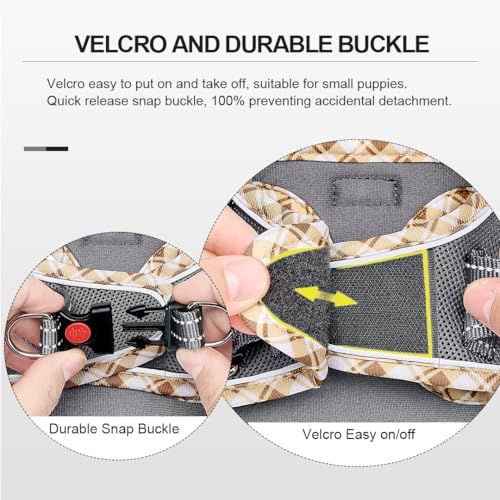 DORAMIO Hundegeschirr Kleine Hunde mit Leine, Step-in Geschirr Reflektierend Atmungsaktiv Brustgeschirr Anti Zug Sicherheitsgeschirr Katzengeschirr für Kleine Hunde, Katzen (Grau, XXS)