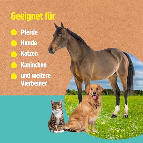 GreenHero Lebertran-Zinksalbe, 500g, bei Hautproblemen von Haustieren, unterstützend bei Wunden, Reizungen, Juckreiz, Mauke und Anderen Hautproblemen, für Pferd, Hund, Katze und Co
