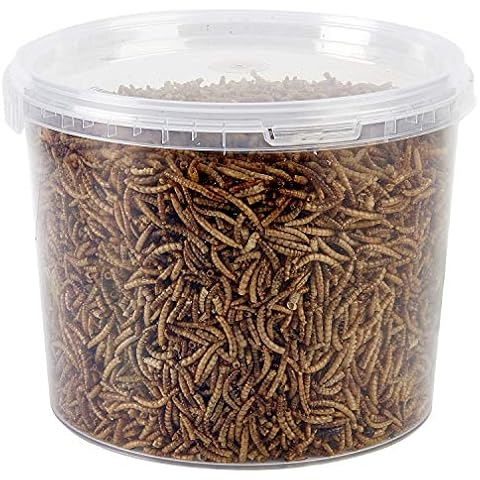 Garden Ting Dried Mealworms Tub, 3 Litre Cover