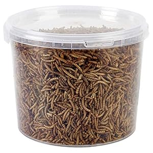Garden Ting Dried Mealworms Tub, 3 Litre