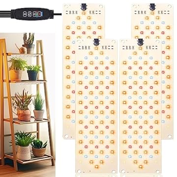 Find Your Ideal Home: Top Indoor Plant Shelves for Low Light 1 best indoor plant shelves for low light