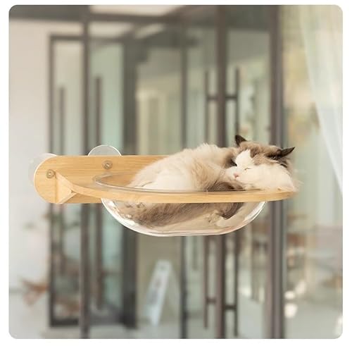 KUMORIJP zՎLpEH[}Eg LpnbN^p߂Ƃ|[^pLpXebv^poLbg|[^pLeB[|[^Lbg^[, ω׏d20kg, ؐt[, i݌v, ێt  ȃx[X CeA