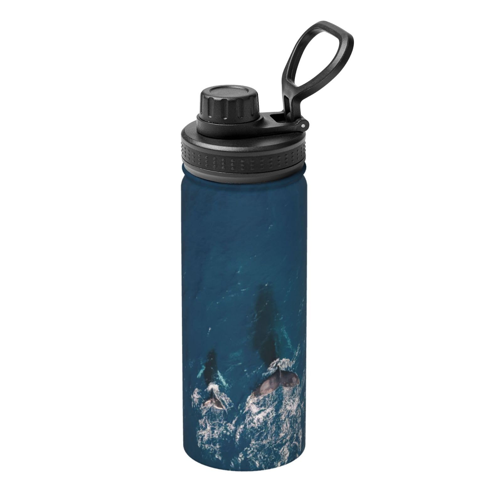Kfjghhl Insulated Stainless Ocean Mammal Whale Steel Water Bottle For Sport Gym Travel Leak Camping Hiking Hydration