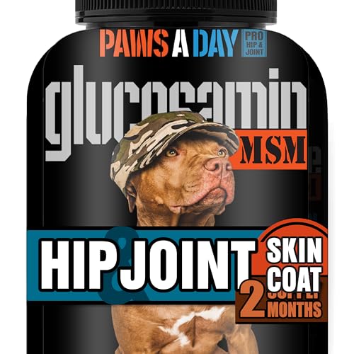 Glucosamine for Dogs Hip & Joint Supplement – “Two-in-One Combo” ...