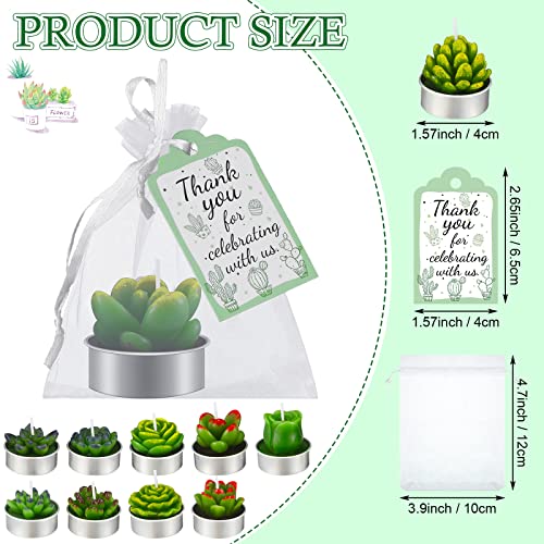 Treela 36 Pcs Succulent Cactus Candles Bulk Cactus Smokeless Scented Tealight Candles Baby Shower Candles Favors For Guests 40 Thank You Gift Tags 40 Organza Bags Wedding Birthday Gift (Green Tag) #TOP1