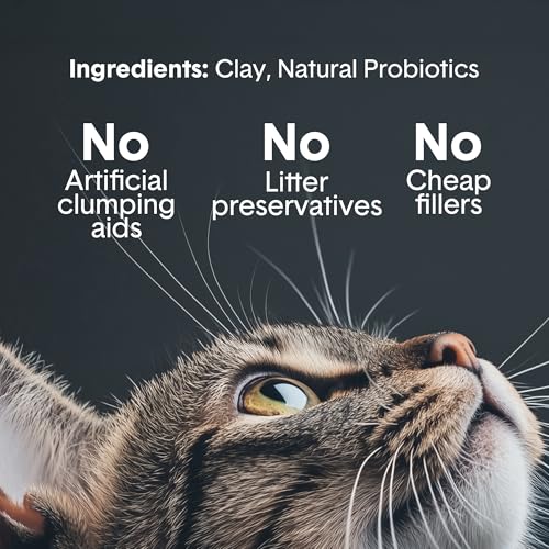 Boxie Probiotic Cat Litter, 40 Day Odor Control, Clumping Clay Kitty Litter, Odor Eliminating Probiotics, Dust-Free, No Fragrances No Fillers, 16 lb