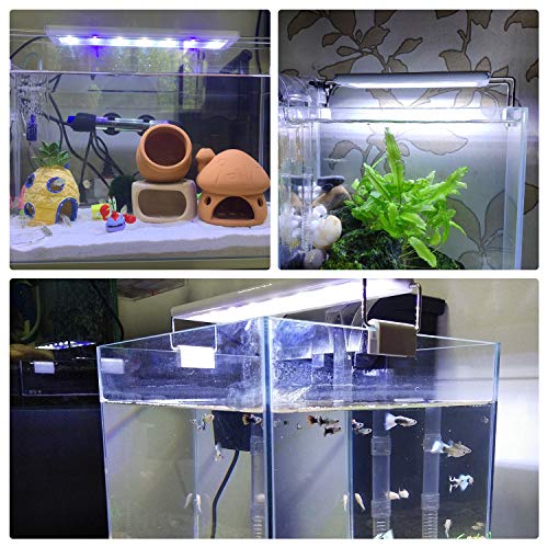 LEDGLE 水槽ライト 10W アクアリウム ライト 56LED YGD-56LED の商品画像 6
