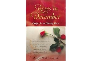 Roses in December: A Floral Inspiration for the Holidays and Winter