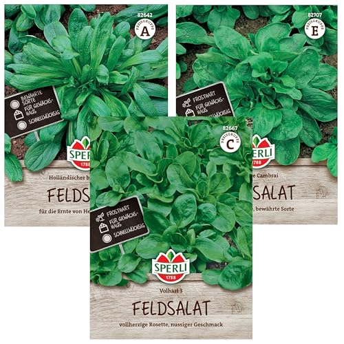 Feldsalat Samen Winterhart Set | 3 Sorten | Extra Frosthart | Wintergemüse Samen | Schnellwachsend | Ertragreich | Feldsalat Saatgut | Wintersalat Samen Winterhart