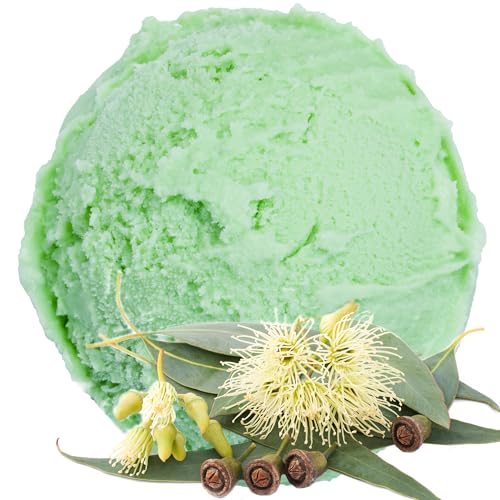 Eukalyptus Geschmack Eispulver VEGAN - OHNE ZUCKER - LAKTOSEFREI - GLUTENFREI - FETTARM, auch für Diabetiker Milcheis Softeispulver Speiseeispulver Gino Gelati (Eukalyptus, 1 kg)