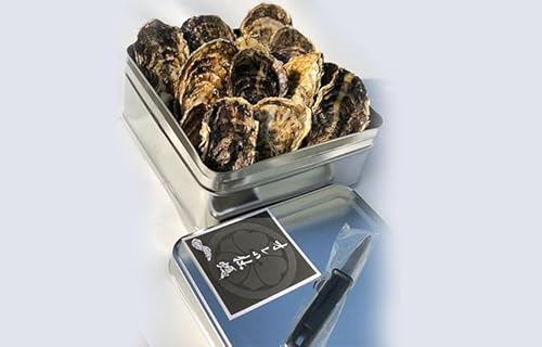 オレのガンガン焼き (冷凍殻付) 2.5kg (約15個から20個)|牡蠣 殻付き牡蠣 海の幸 貝類 [2221]