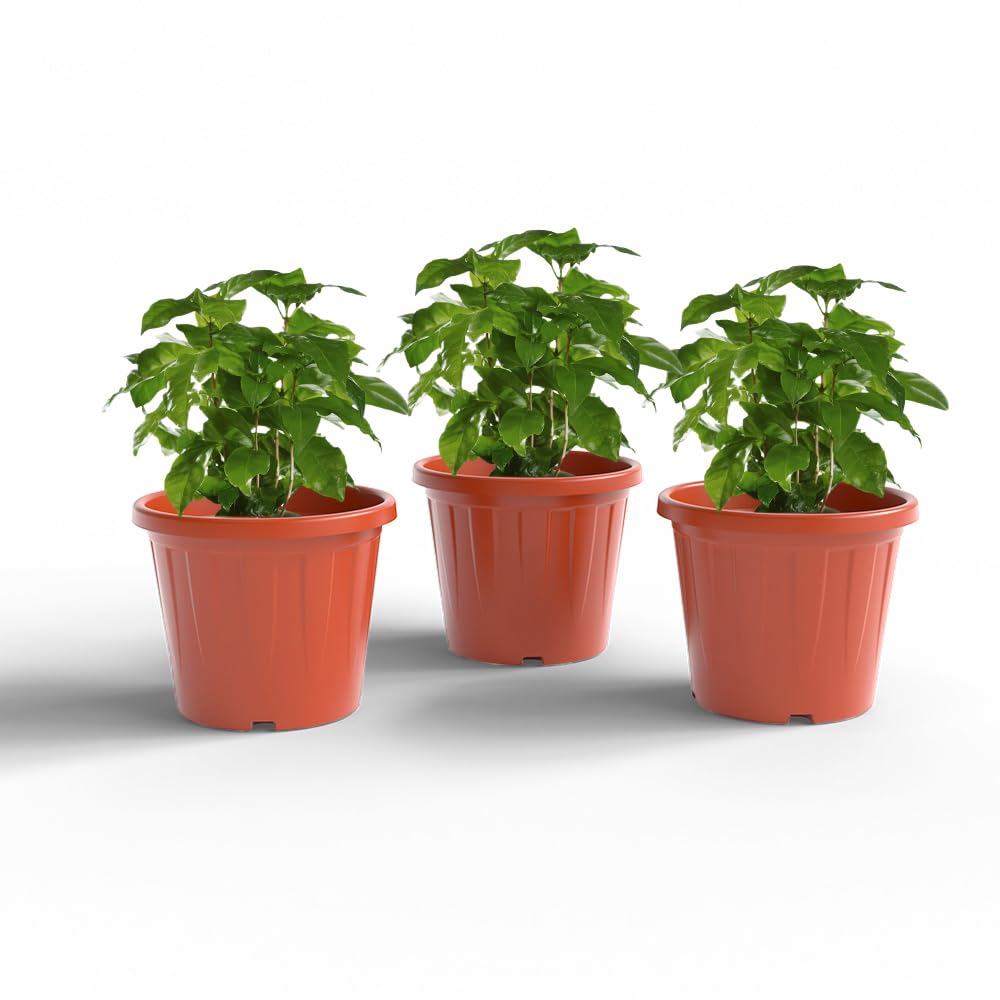 YUCCABE ITALIA 6 Pack White Nursery Planters -21