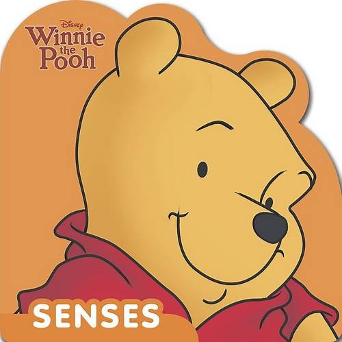 Winnie the Pooh: 9781445461885: Books - Amazon.ca