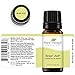 Plant Therapy Brain Aid Essential Oil Blend for Focus & Attention 100% Pure, Undiluted, Natural Aromatherapy, Therapeutic Grade 10 mL (1/3 oz)